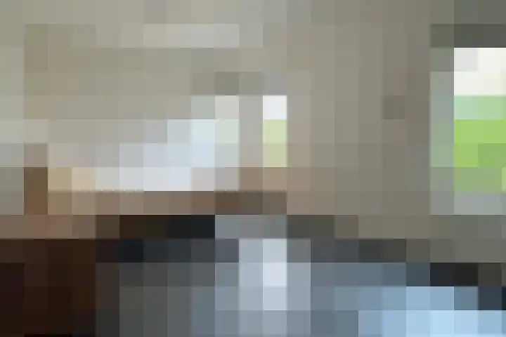 De Tellinghorst 14 Hoogeveen thumbnail 27