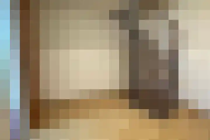 De Tellinghorst 14 Hoogeveen thumbnail 30