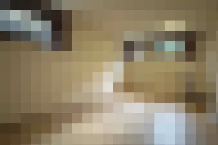 De Tellinghorst 14 Hoogeveen thumbnail 32