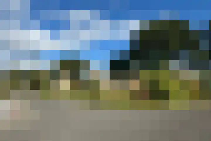De Tellinghorst 14 Hoogeveen thumbnail 5