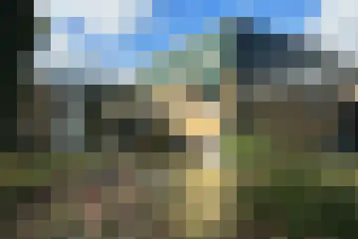 De Tellinghorst 14 Hoogeveen thumbnail 7