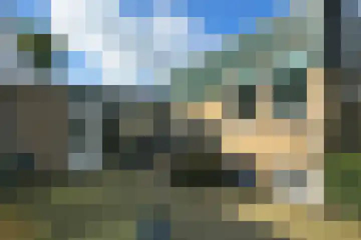 De Tellinghorst 14 Hoogeveen thumbnail 8