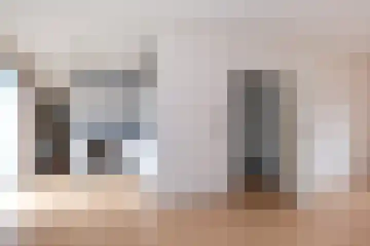 De Tellinghorst 22 Hoogeveen thumbnail 10