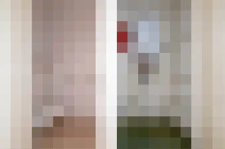 De Tellinghorst 22 Hoogeveen thumbnail 15