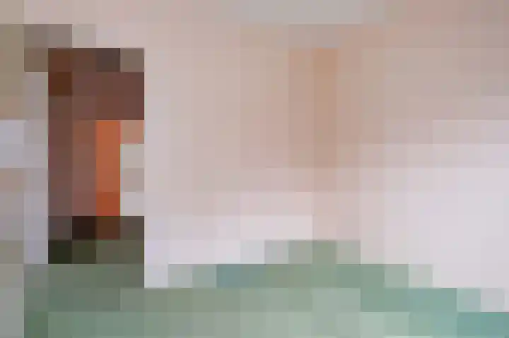 De Tellinghorst 22 Hoogeveen thumbnail 23