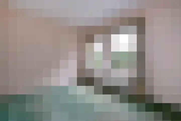 De Tellinghorst 22 Hoogeveen thumbnail 24