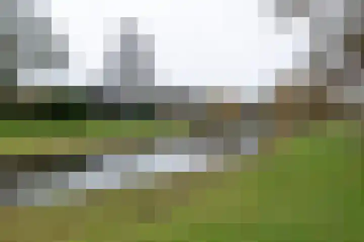 De Tellinghorst 22 Hoogeveen thumbnail 33