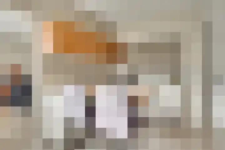 De Tempelier 2 Aarle-Rixtel thumbnail 14