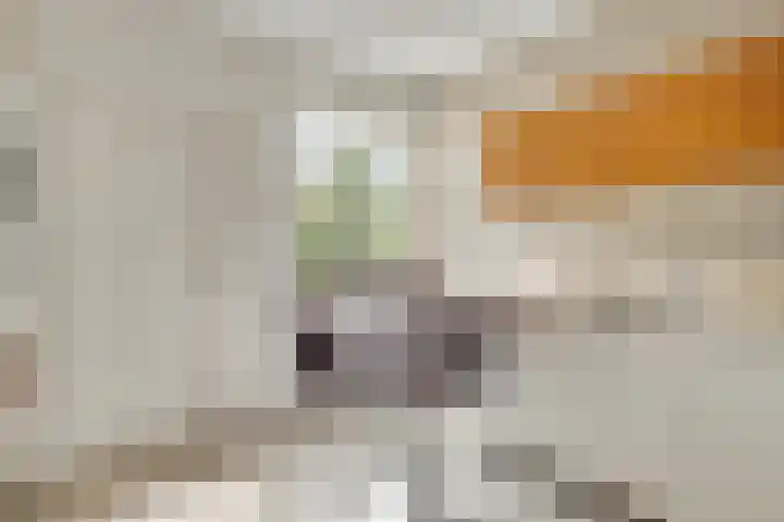 De Tempelier 2 Aarle-Rixtel thumbnail 16