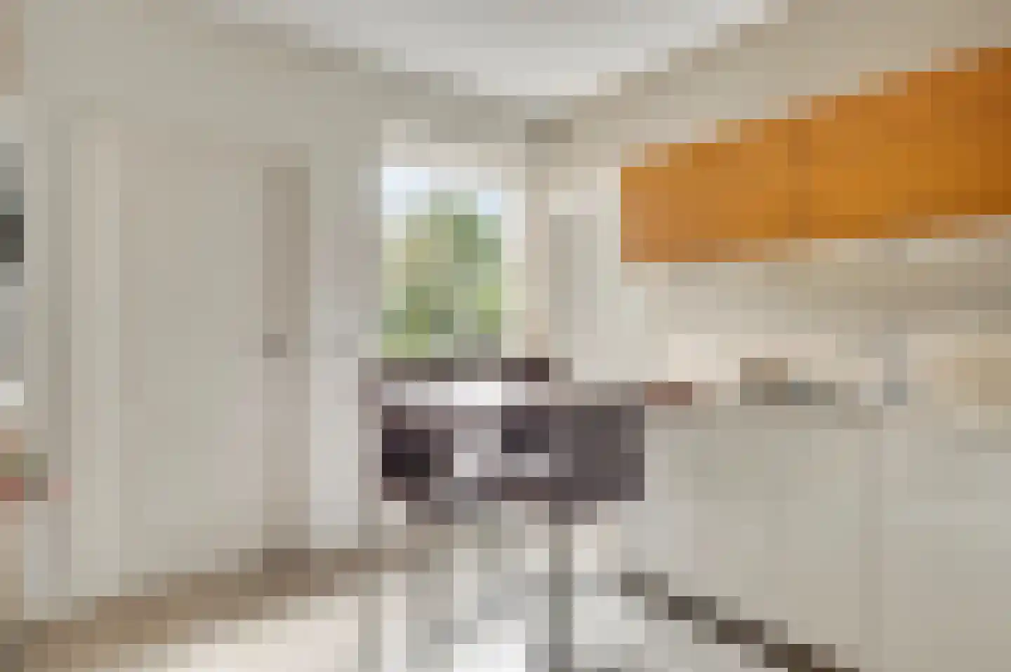 De Tempelier 2 Aarle-Rixtel thumbnail 19