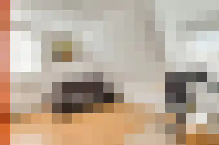 De Tempelier 2 Aarle-Rixtel thumbnail 23