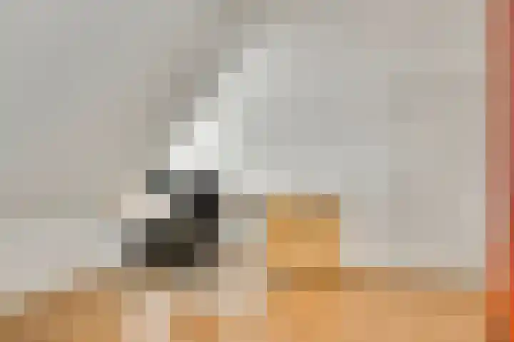 De Tempelier 2 Aarle-Rixtel thumbnail 24