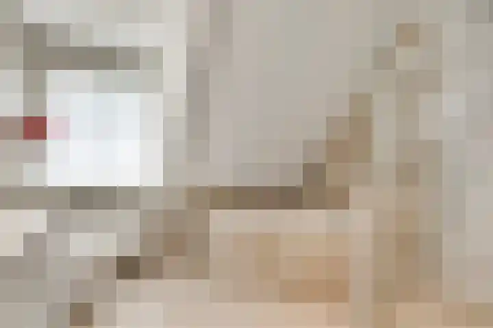 De Tempelier 2 Aarle-Rixtel thumbnail 25
