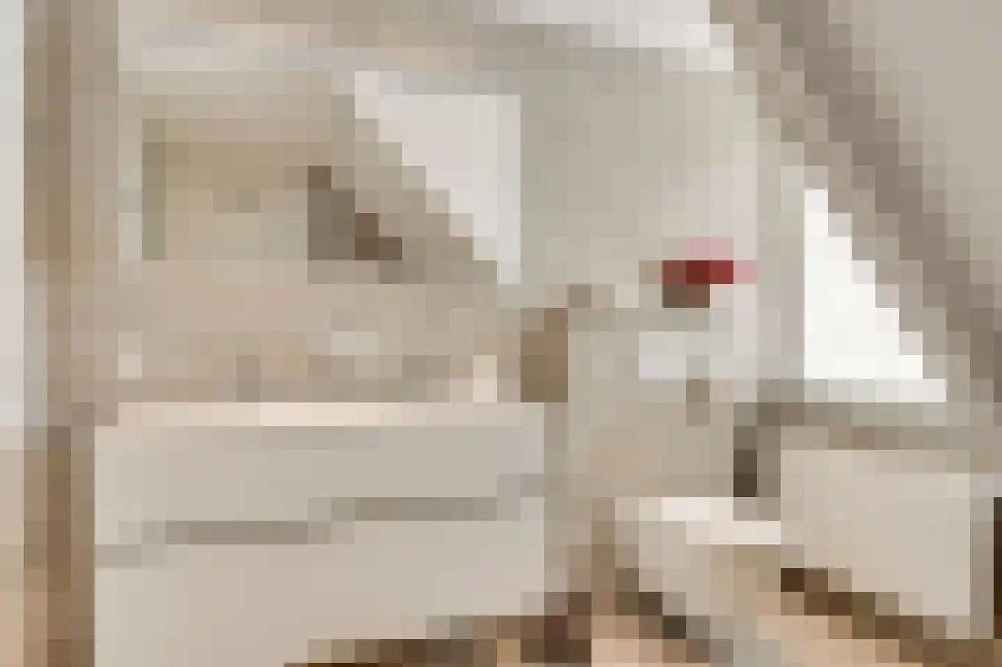 De Tempelier 2 Aarle-Rixtel thumbnail 29