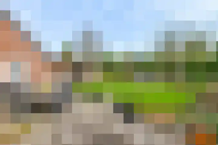De Tempelier 2 Aarle-Rixtel thumbnail 38