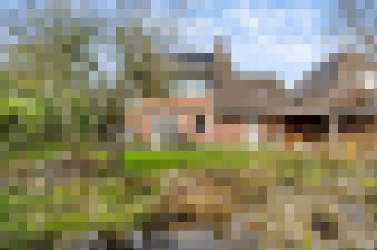 De Tempelier 2 Aarle-Rixtel thumbnail 39