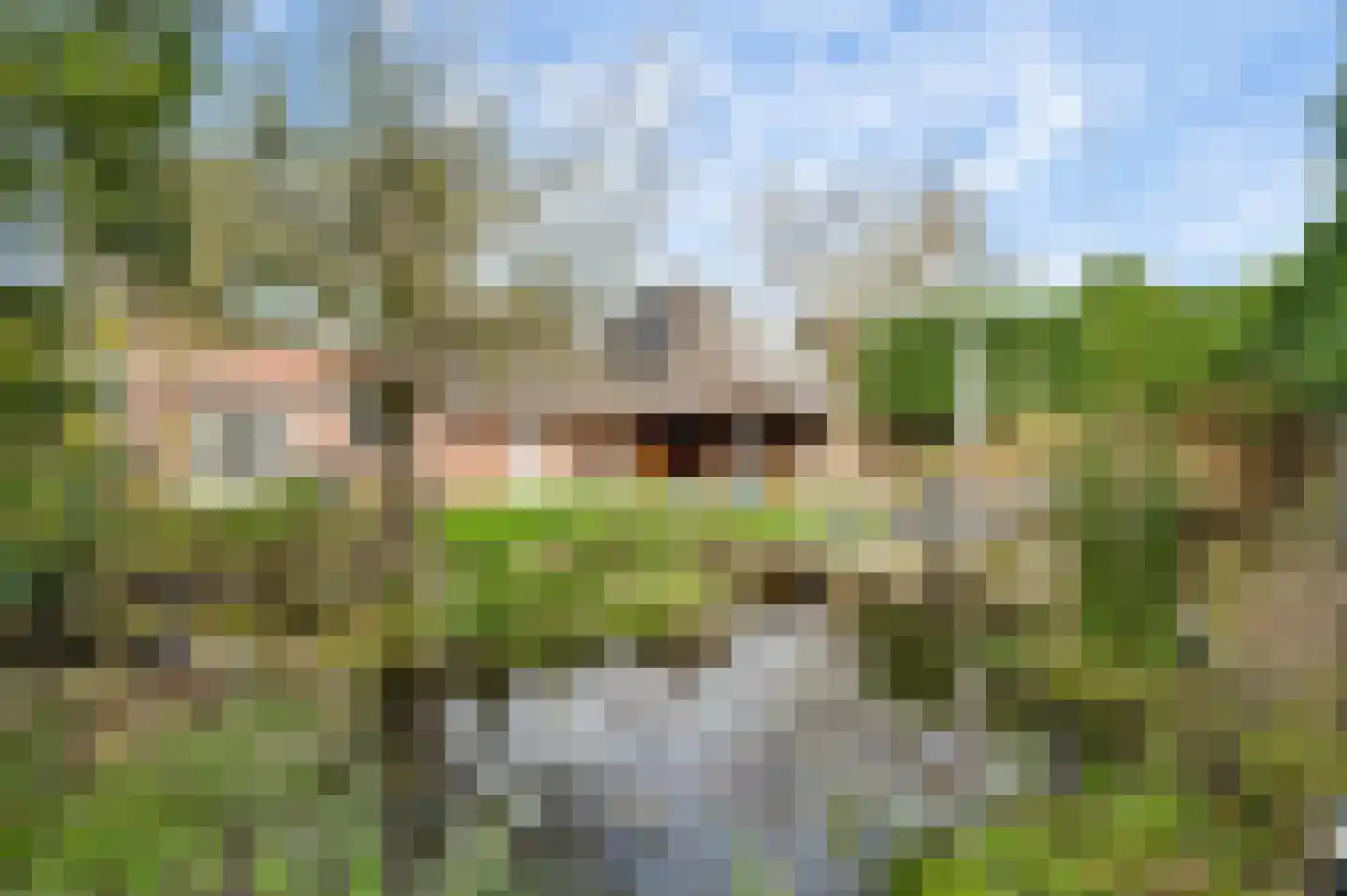 De Tempelier 2 Aarle-Rixtel thumbnail 5
