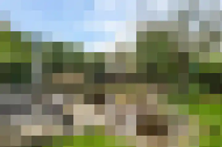 De Tempelier 2 Aarle-Rixtel thumbnail 6