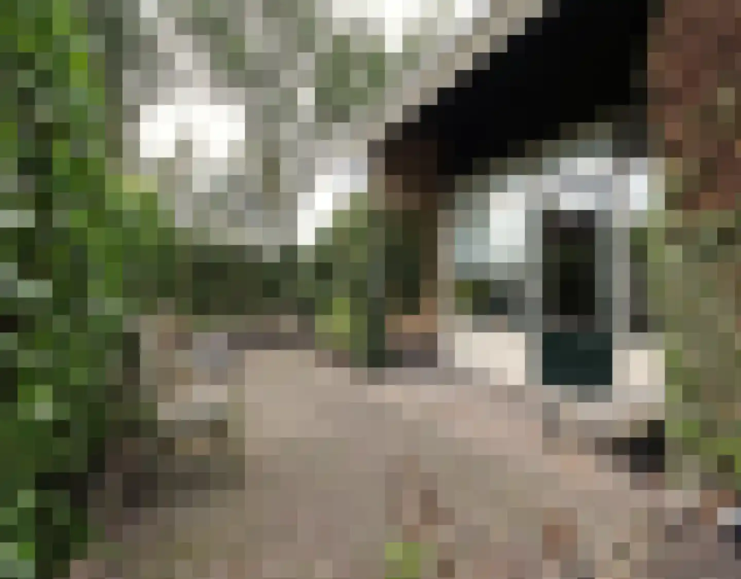 De Terp 1 A Scharnegoutum thumbnail 10