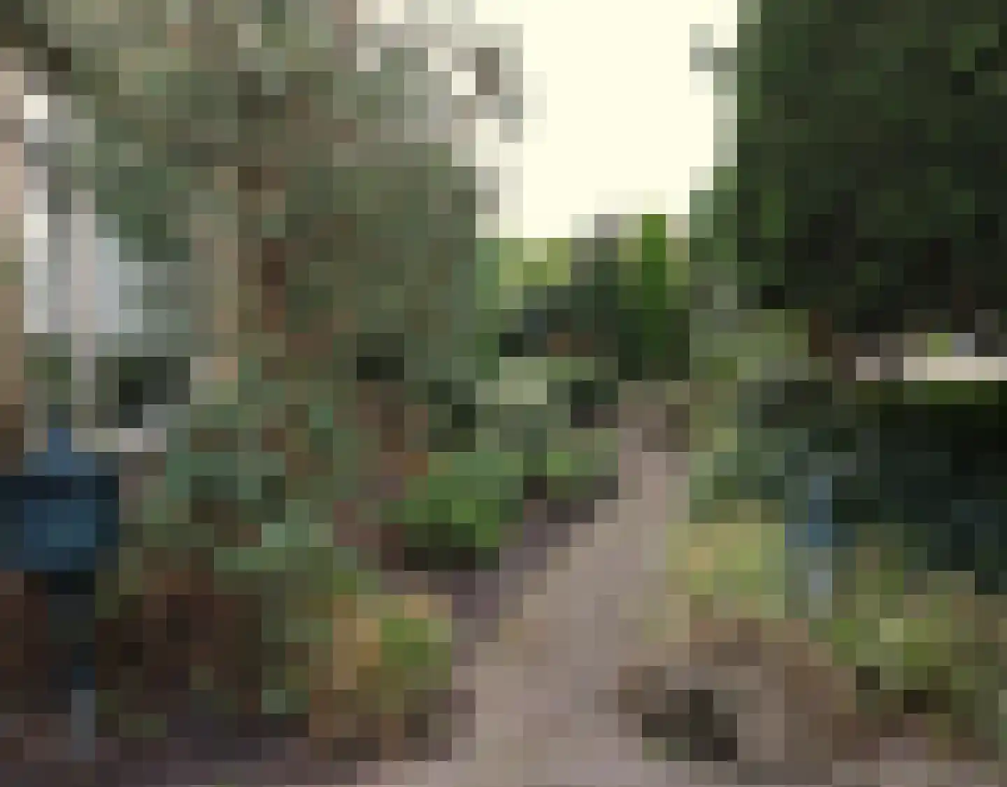 De Terp 1 A Scharnegoutum thumbnail 11