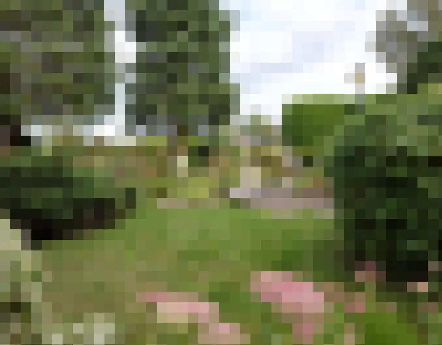 De Terp 1 A Scharnegoutum thumbnail 12