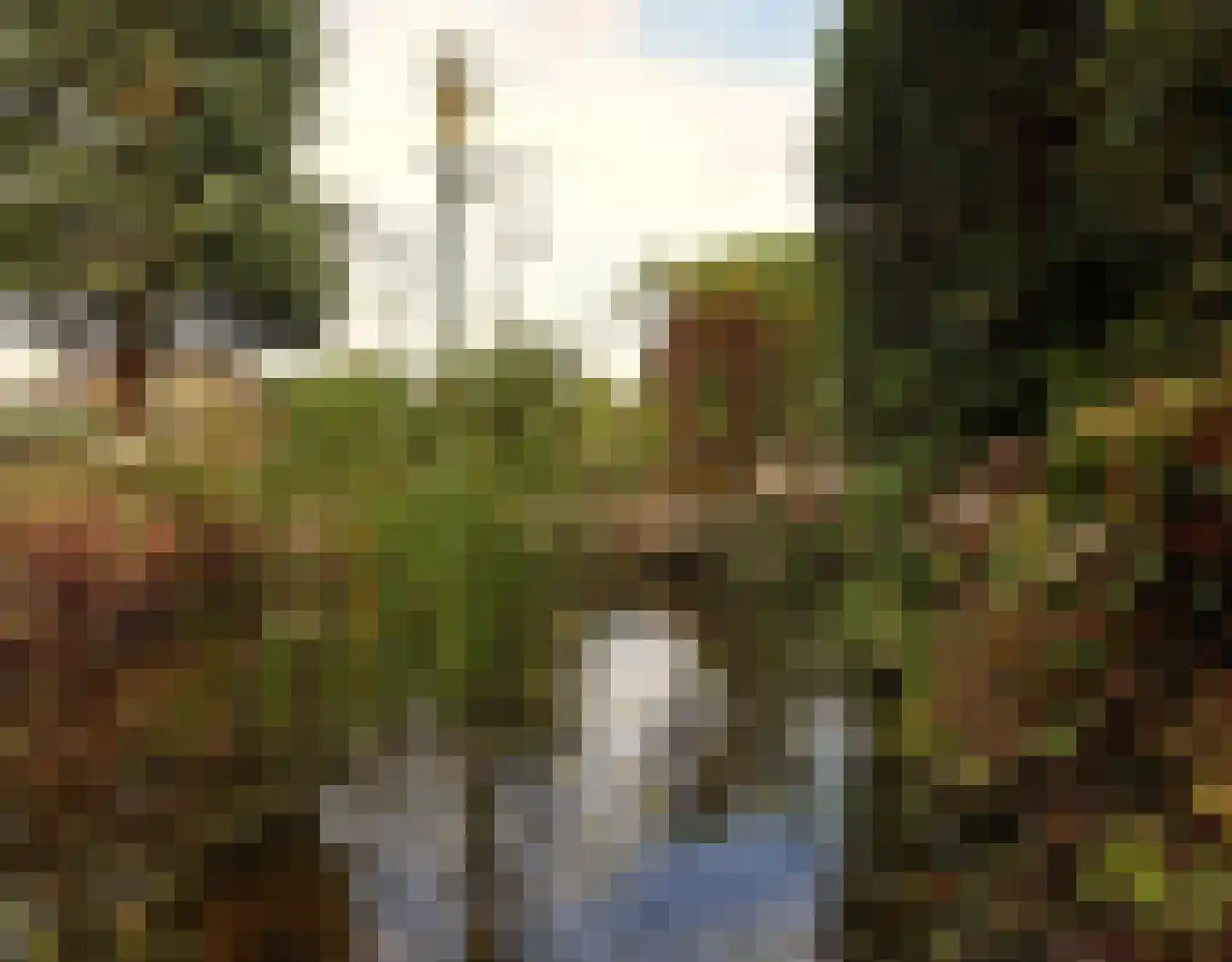 De Terp 1 A Scharnegoutum thumbnail 13