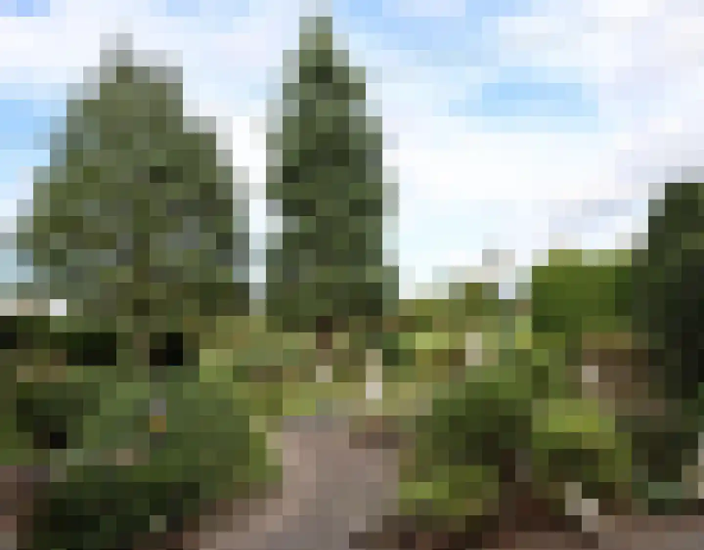 De Terp 1 A Scharnegoutum thumbnail 14