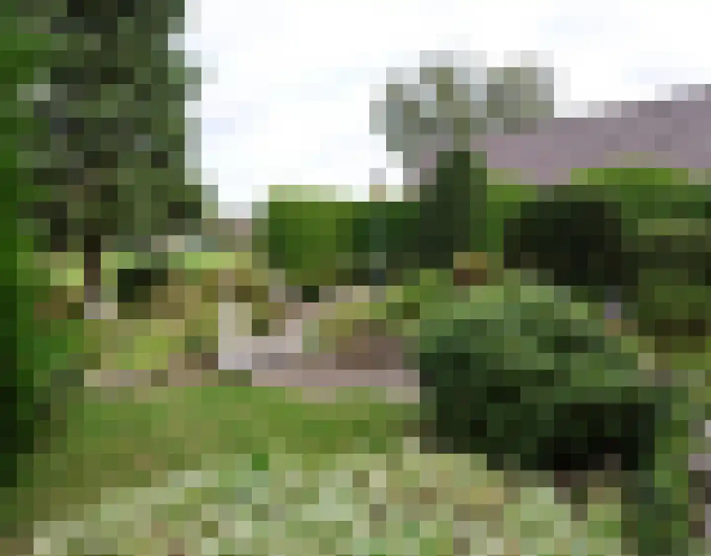 De Terp 1 A Scharnegoutum thumbnail 15