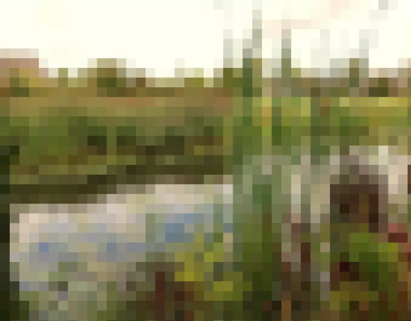 De Terp 1 A Scharnegoutum thumbnail 16
