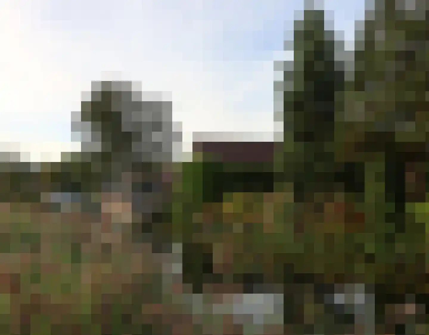 De Terp 1 A Scharnegoutum thumbnail 18