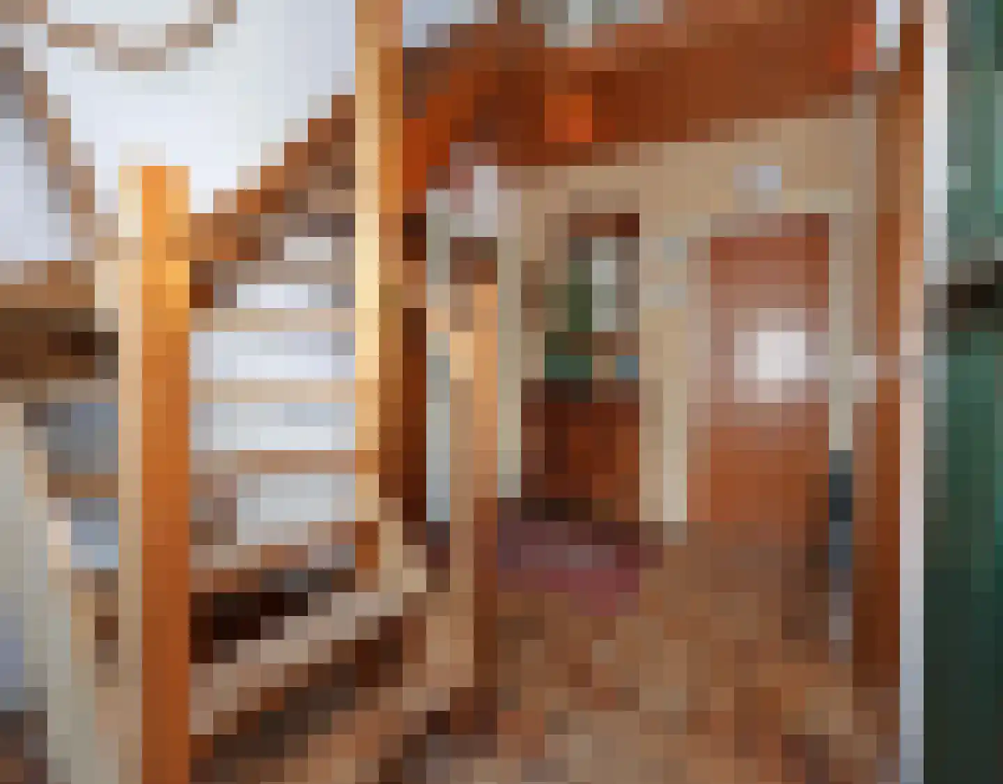 De Terp 1 A Scharnegoutum thumbnail 19