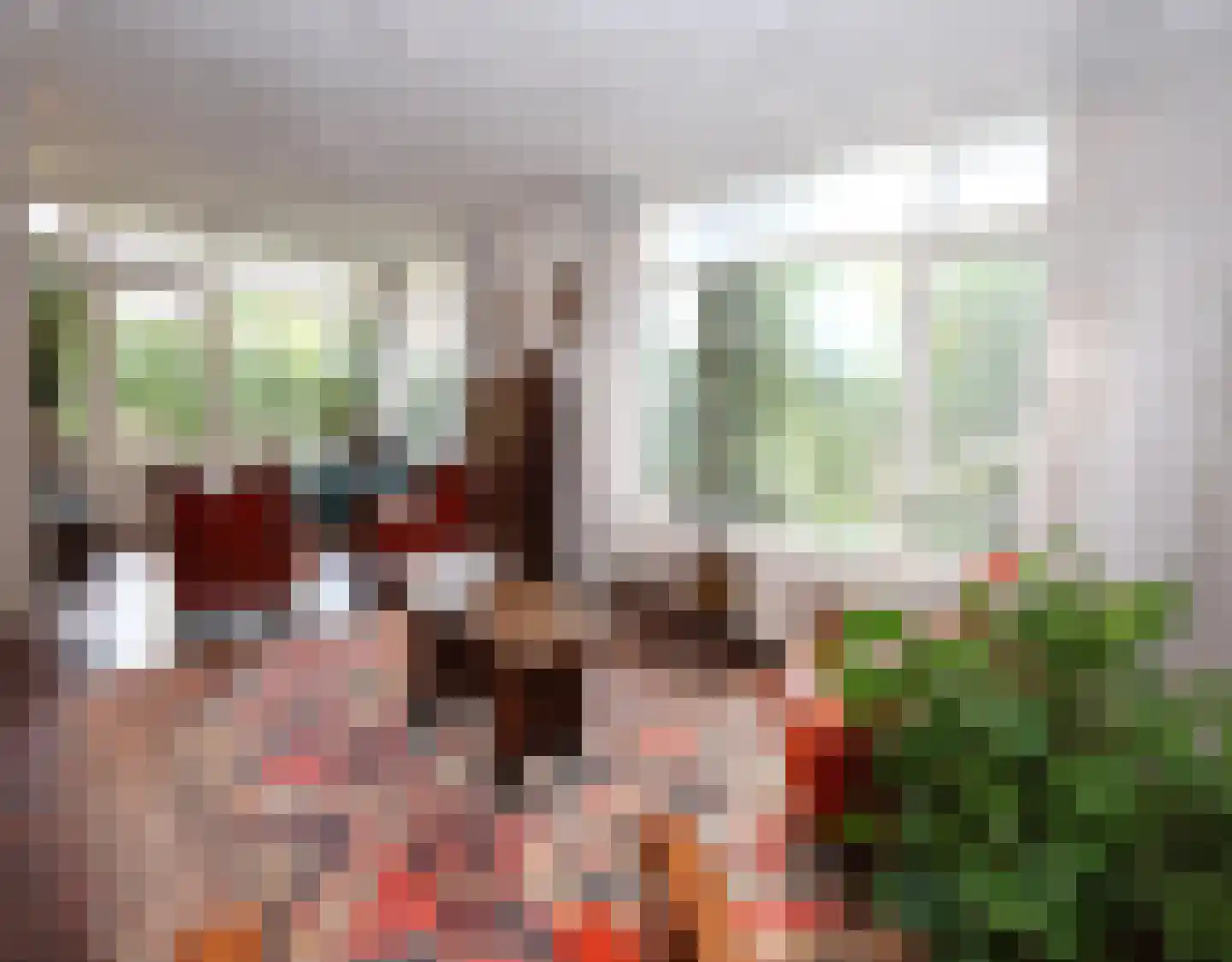 De Terp 1 A Scharnegoutum thumbnail 20