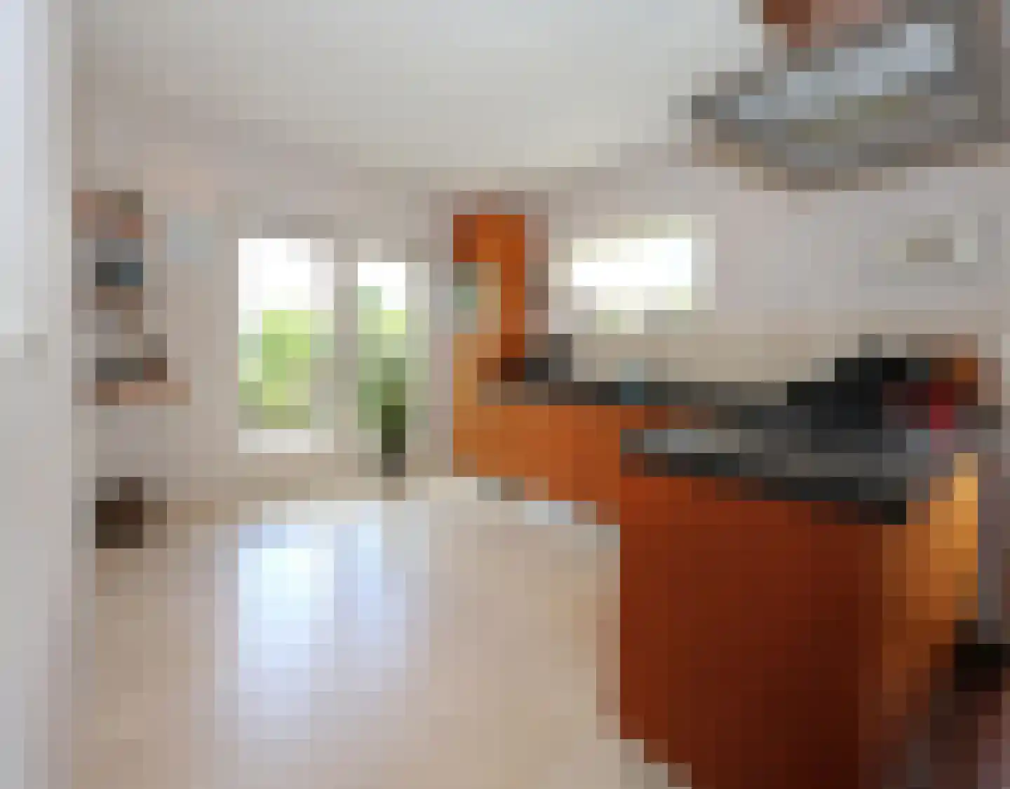 De Terp 1 A Scharnegoutum thumbnail 24