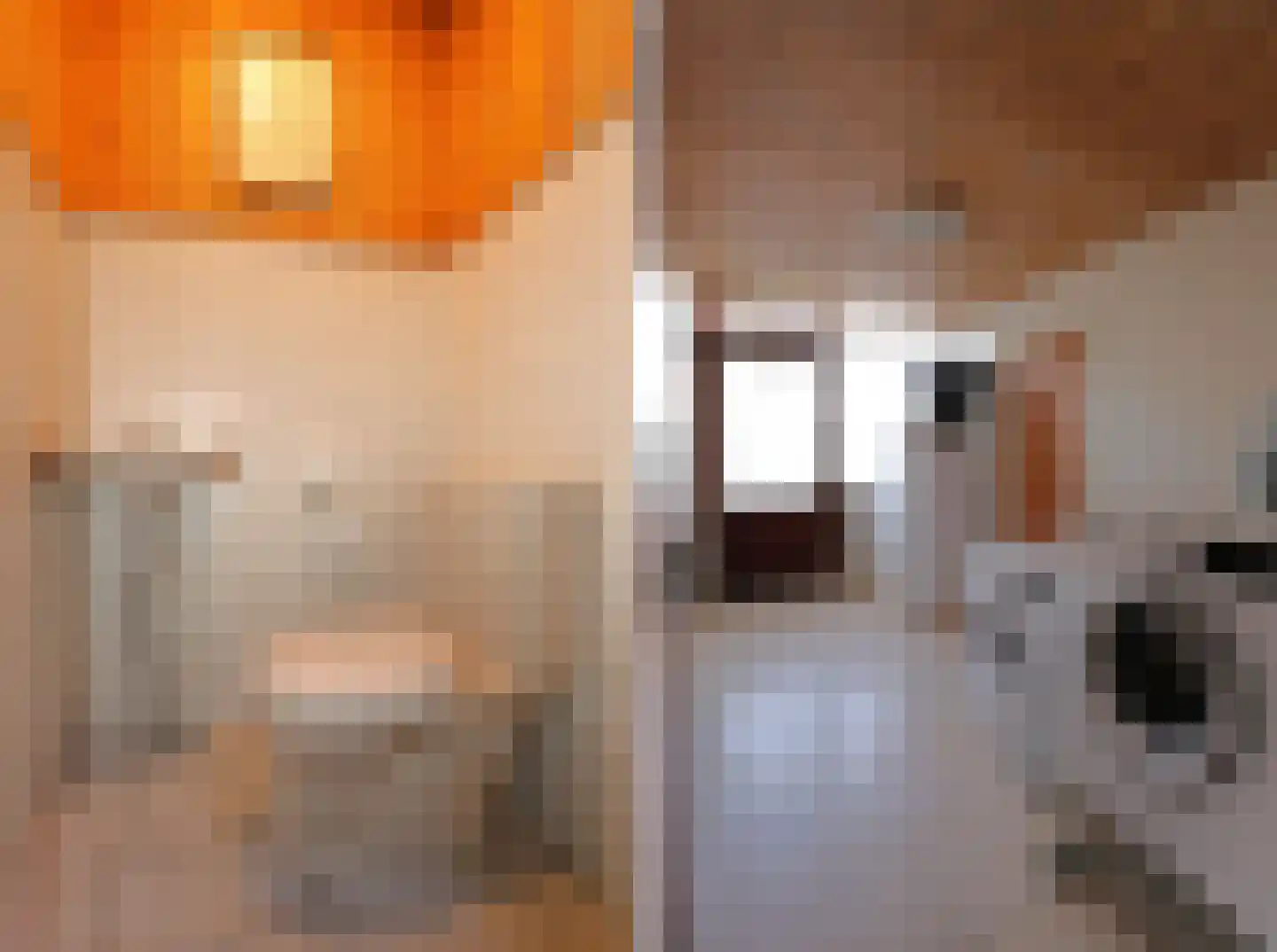 De Terp 1 A Scharnegoutum thumbnail 29