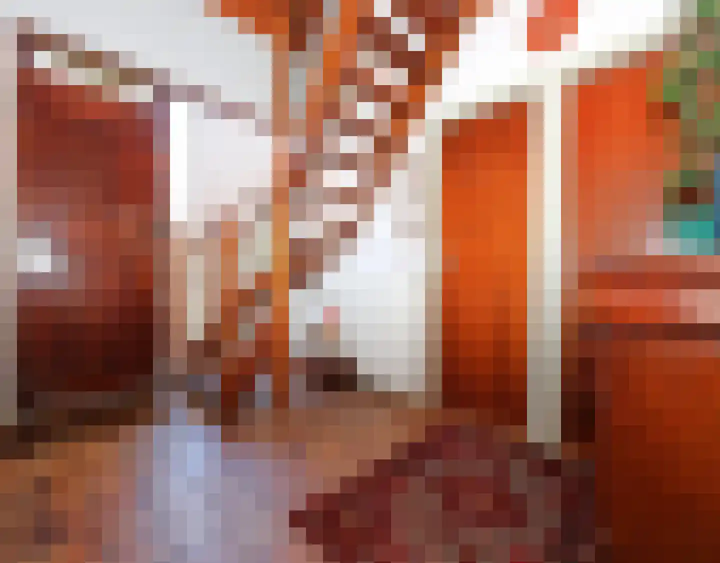 De Terp 1 A Scharnegoutum thumbnail 30