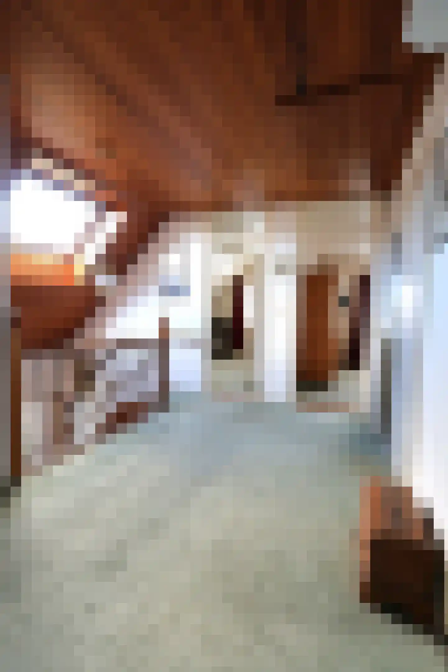 De Terp 1 A Scharnegoutum thumbnail 32