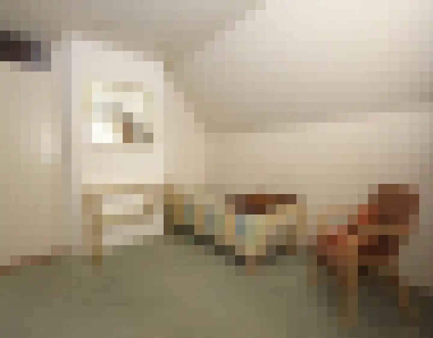 De Terp 1 A Scharnegoutum thumbnail 39