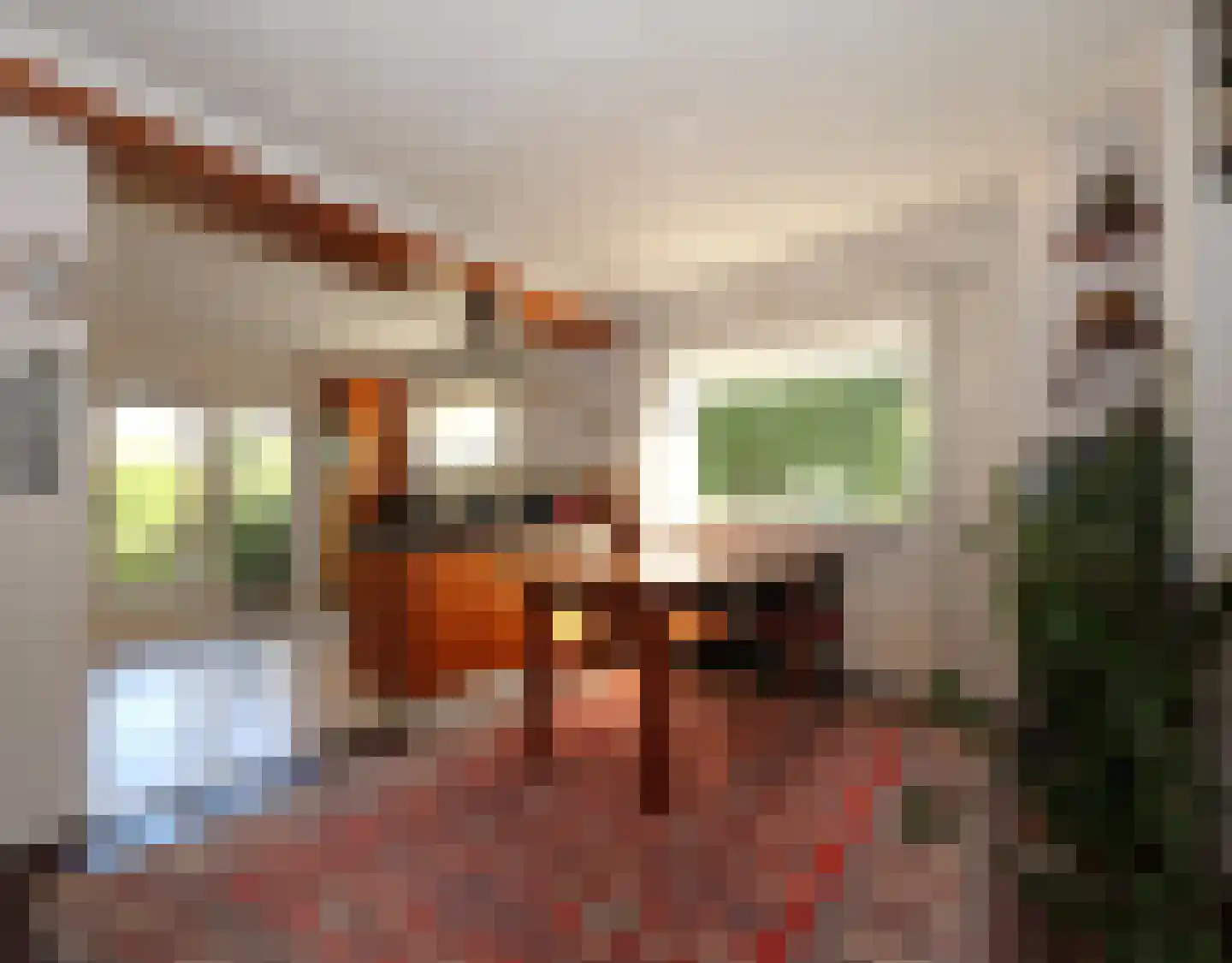 De Terp 1 A Scharnegoutum thumbnail 4