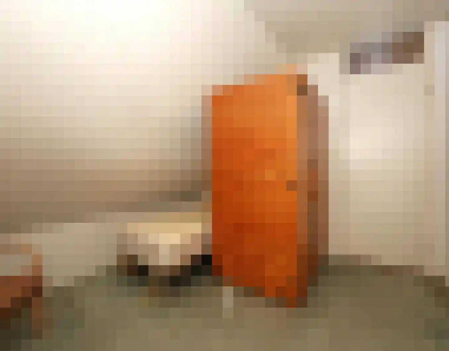 De Terp 1 A Scharnegoutum thumbnail 41