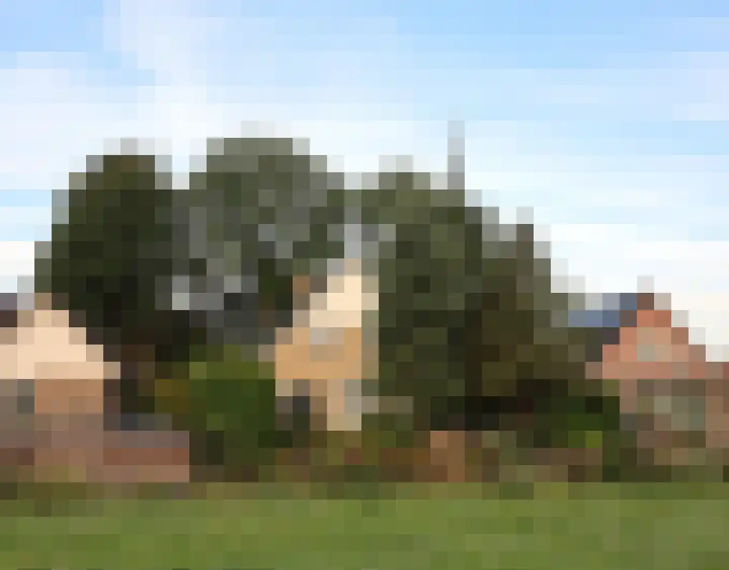 De Terp 1 A Scharnegoutum thumbnail 44
