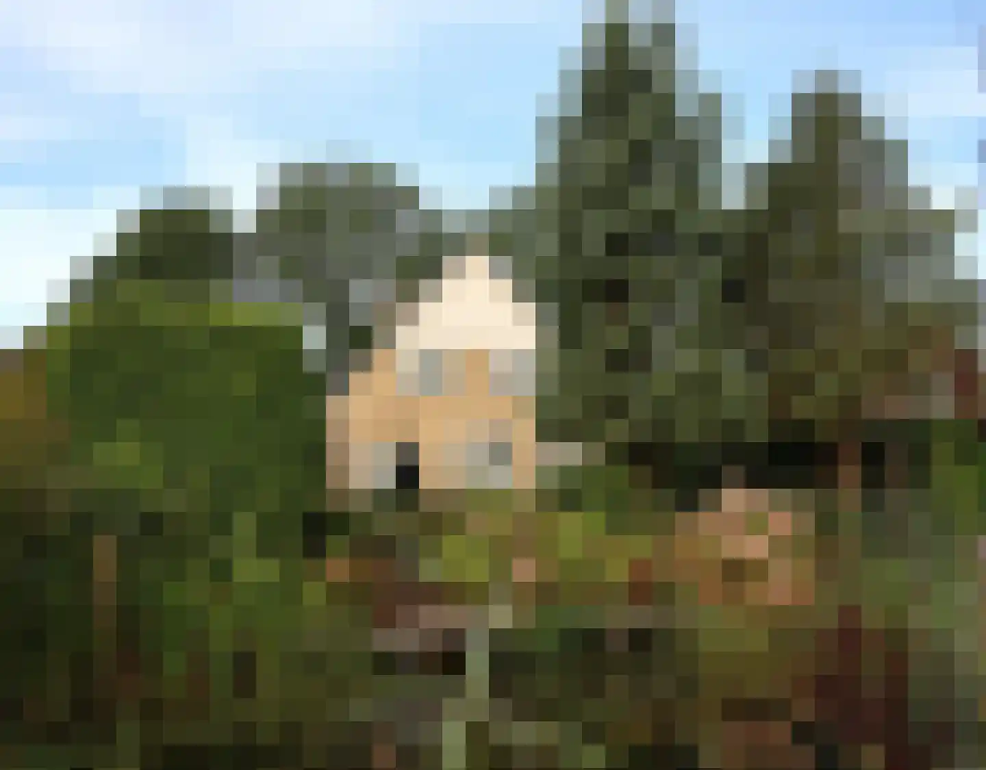 De Terp 1 A Scharnegoutum thumbnail 45