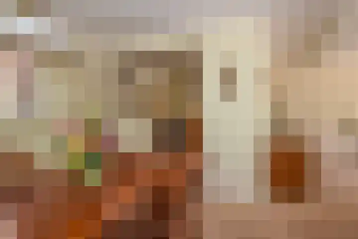 De Terp 10 's-Hertogenbosch thumbnail 17