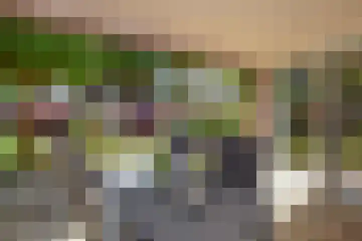De Terp 10 's-Hertogenbosch thumbnail 4