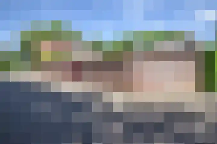 De Terp 10 's-Hertogenbosch thumbnail 5