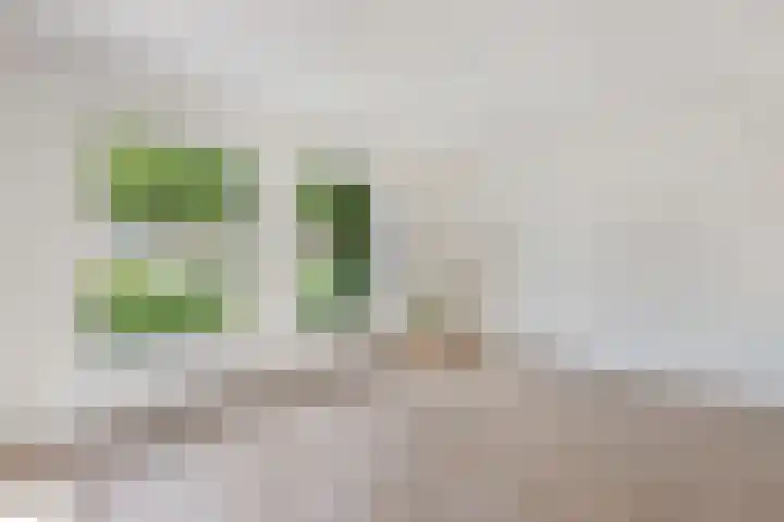 De Terp 12 Winsum thumbnail 11