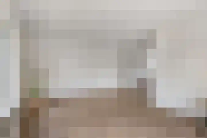 De Terp 12 Winsum thumbnail 12