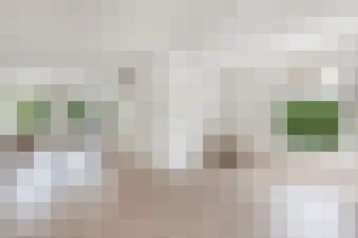 De Terp 12 Winsum thumbnail 13