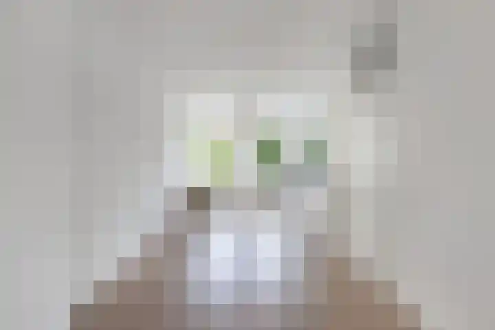 De Terp 12 Winsum thumbnail 14