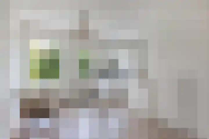 De Terp 12 Winsum thumbnail 15