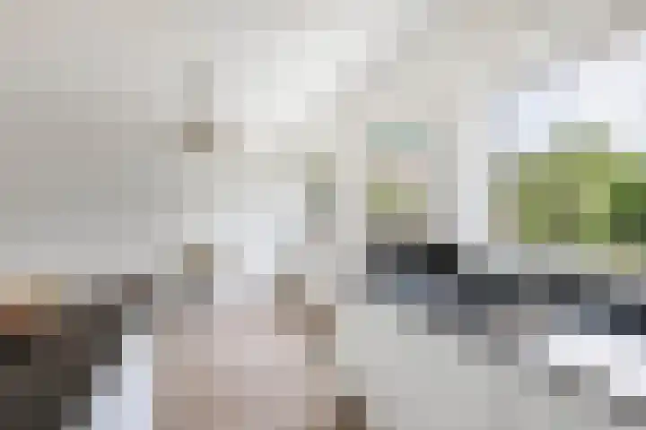 De Terp 12 Winsum thumbnail 19